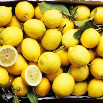 Fresh Lemon-1X12KG02